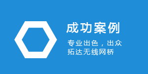 成功案例